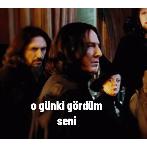 Harry Potter pt2 17