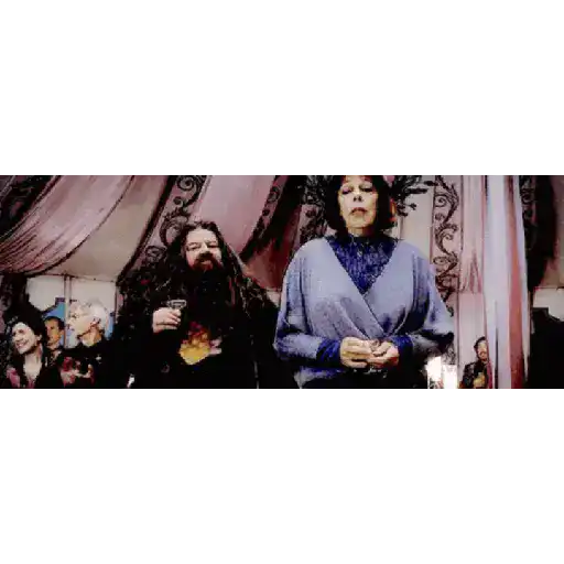 Harry Potter pt2 20