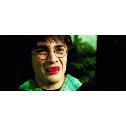 Harry Potter pt2 11