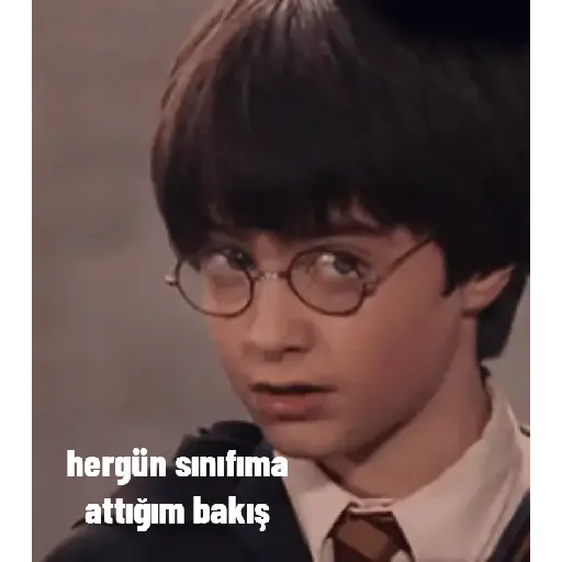 Harry Potter pt2 12