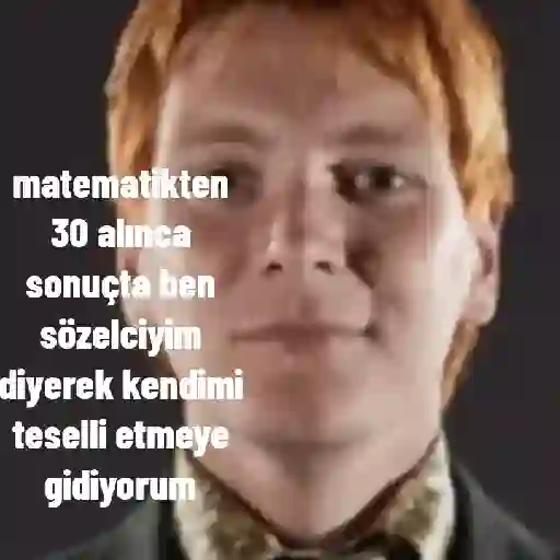 Harry Potter pt2 13