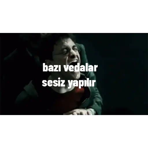 Harry Potter pt2 15