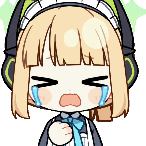 1751151615521.webp