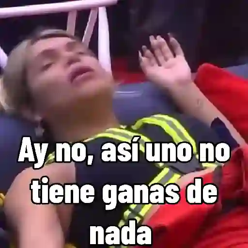-955886524.webp