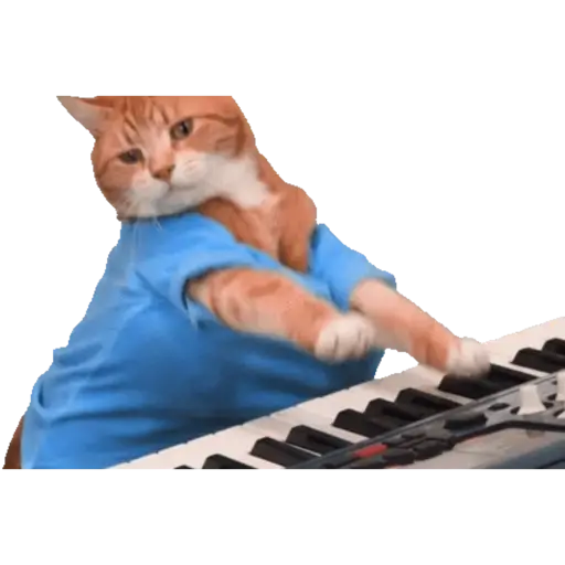 Gatinhos animados