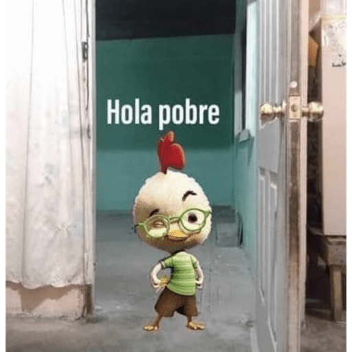 Conejito  6