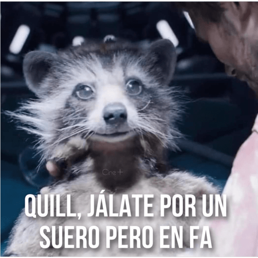 Conejito  4