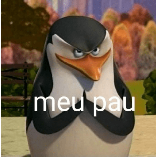 Não sei 13