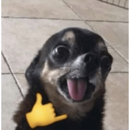 Não sei 6