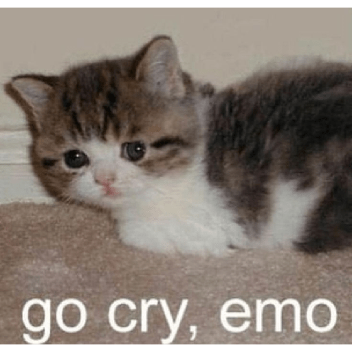 Não sei 23