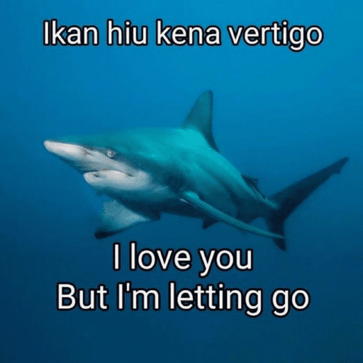 Oke 9