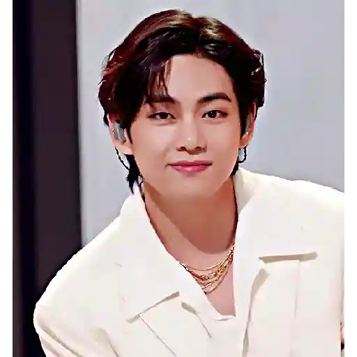 🐯Taehyung 2.0 27