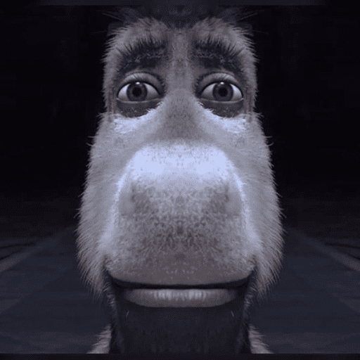 Tiktok 23