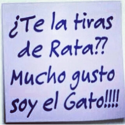 Stalina en tu mente y corazón  22