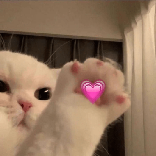 @igIxchann_ 5