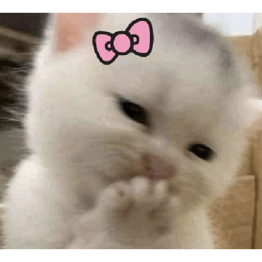 @igIxchann_ 4