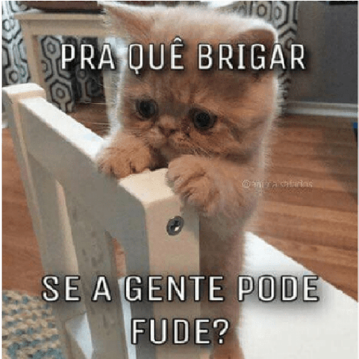 Casal 23