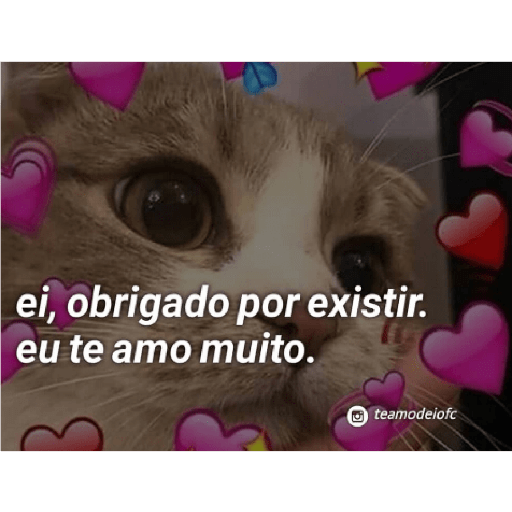 Casal 18