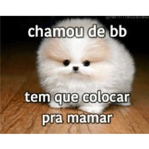 Casal 27