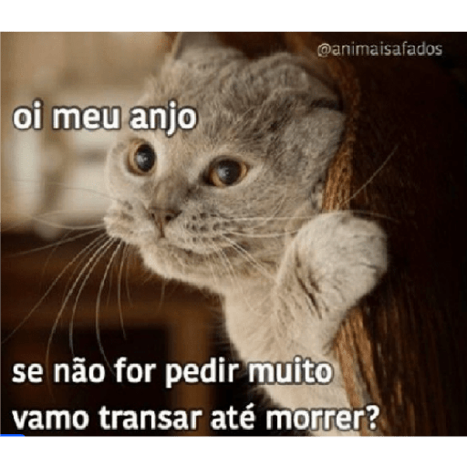 Casal 20
