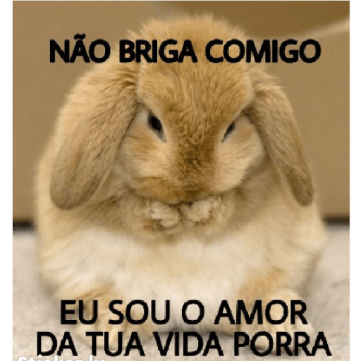 Casal 24