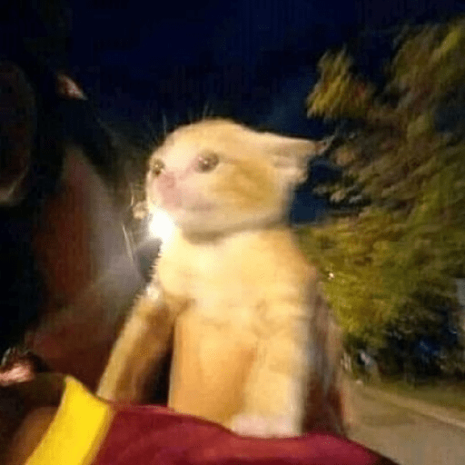 Que
