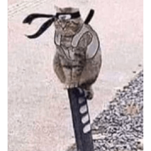מדבקה 7