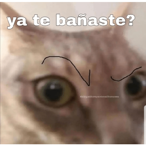 מדבקה 10