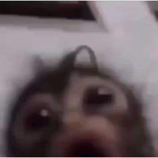 מדבקה 4