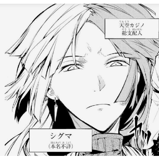 Sigma Bungou Stray Dogs