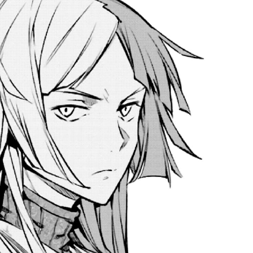 Sigma Bungou Stray Dogs 5