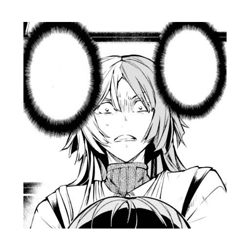 Sigma Bungou Stray Dogs 10
