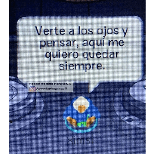 Club penguin  30