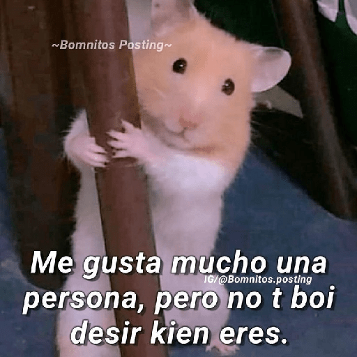 Para tu amorcito 💗 1