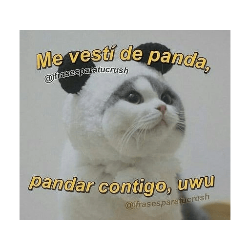 Para tu amorcito 💗 3