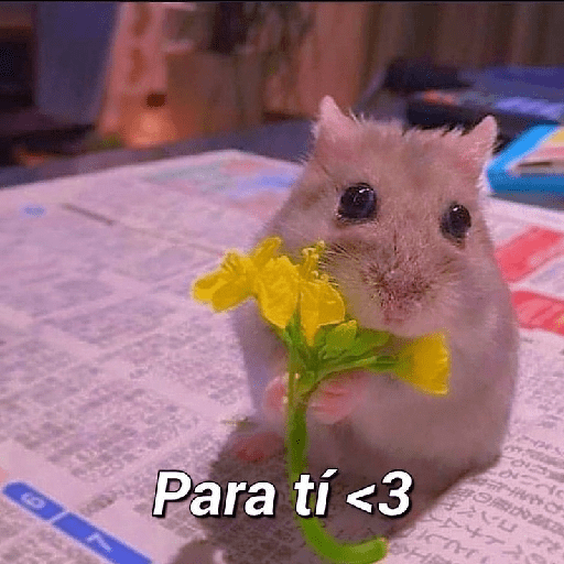 Para tu amorcito 💗 4