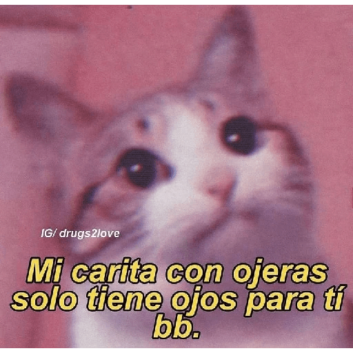 Para tu amorcito 💗 5