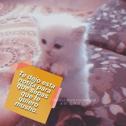Para tu amorcito 💗 6
