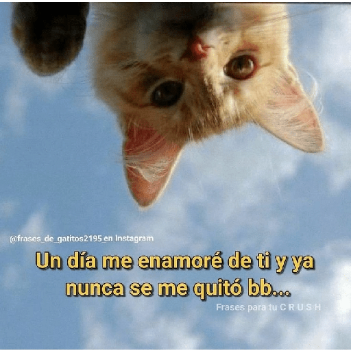 Para tu amorcito 💗 8