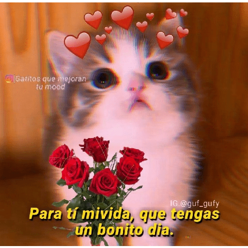 Para tu amorcito 💗 9