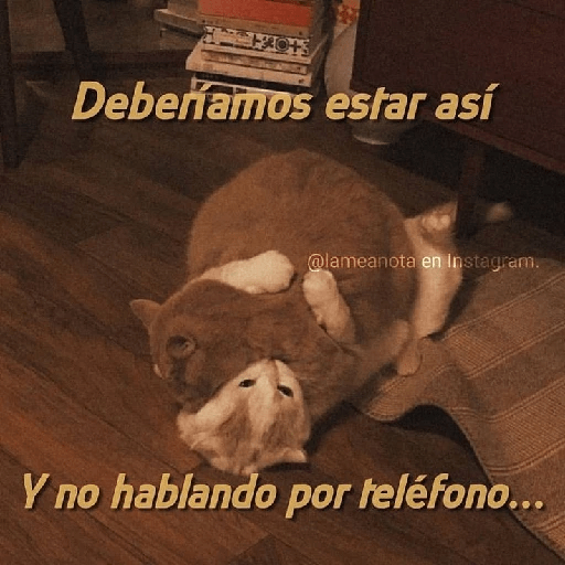 Para tu amorcito 💗 11