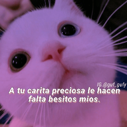 Para tu amorcito 💗 12