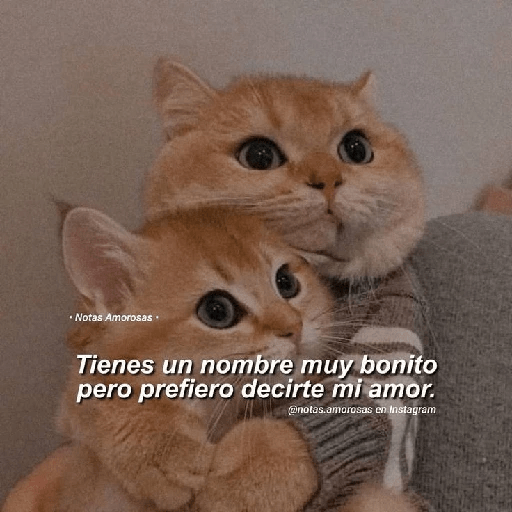 Para tu amorcito 💗 13