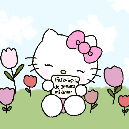 Hello Kitty  15