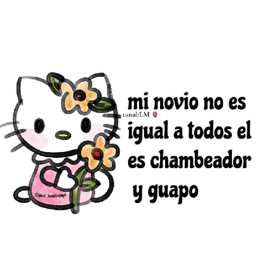 Hello Kitty  7