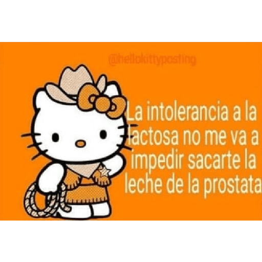 Hello Kitty  29