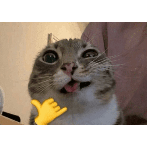 Ohyeah 11