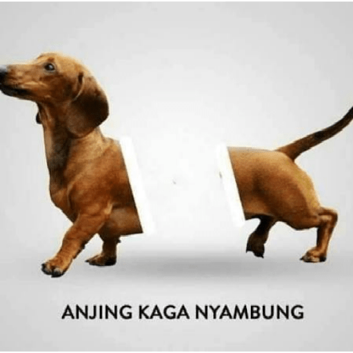 Stiker Saya 5