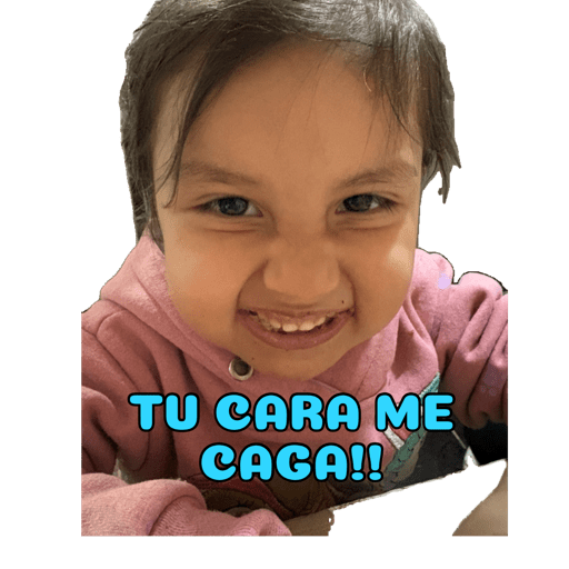 Mis pegatinas 22