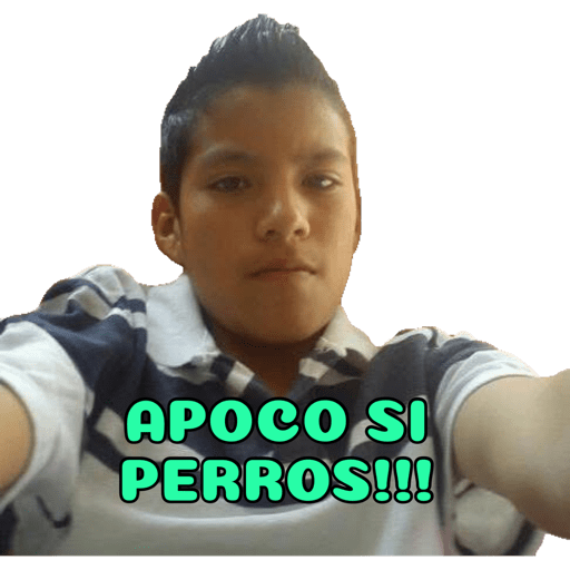 Mis pegatinas 12